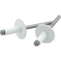 3/16 Large head rivets WHITE