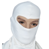 FIA 8856-2000 balaclava single layer