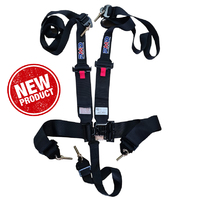 SFI 16.1 5pt HANS harness with clip ends + eye bolts included