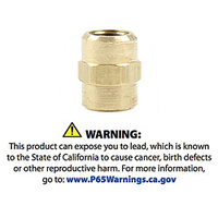 1/8" NPT Female Union